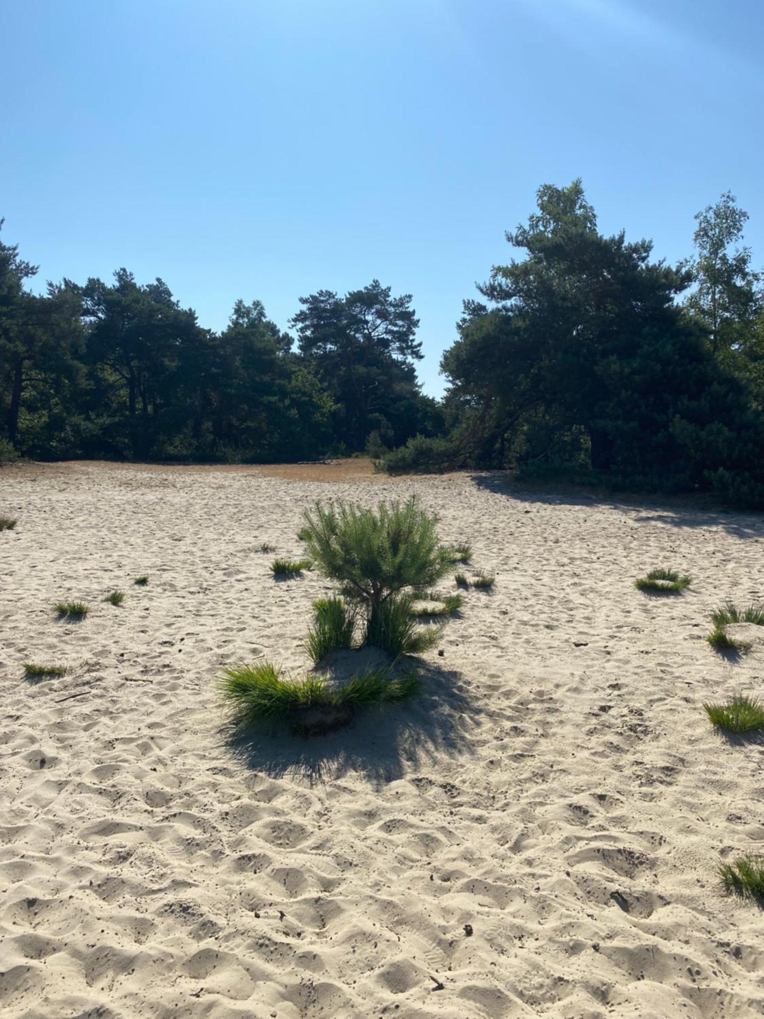 Appartamento De Graslelie Schoten Esterno foto